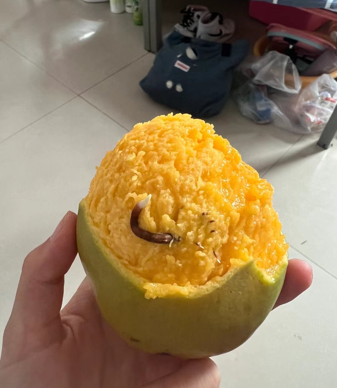 芒果发芽后还能吃吗[doge] ​​​