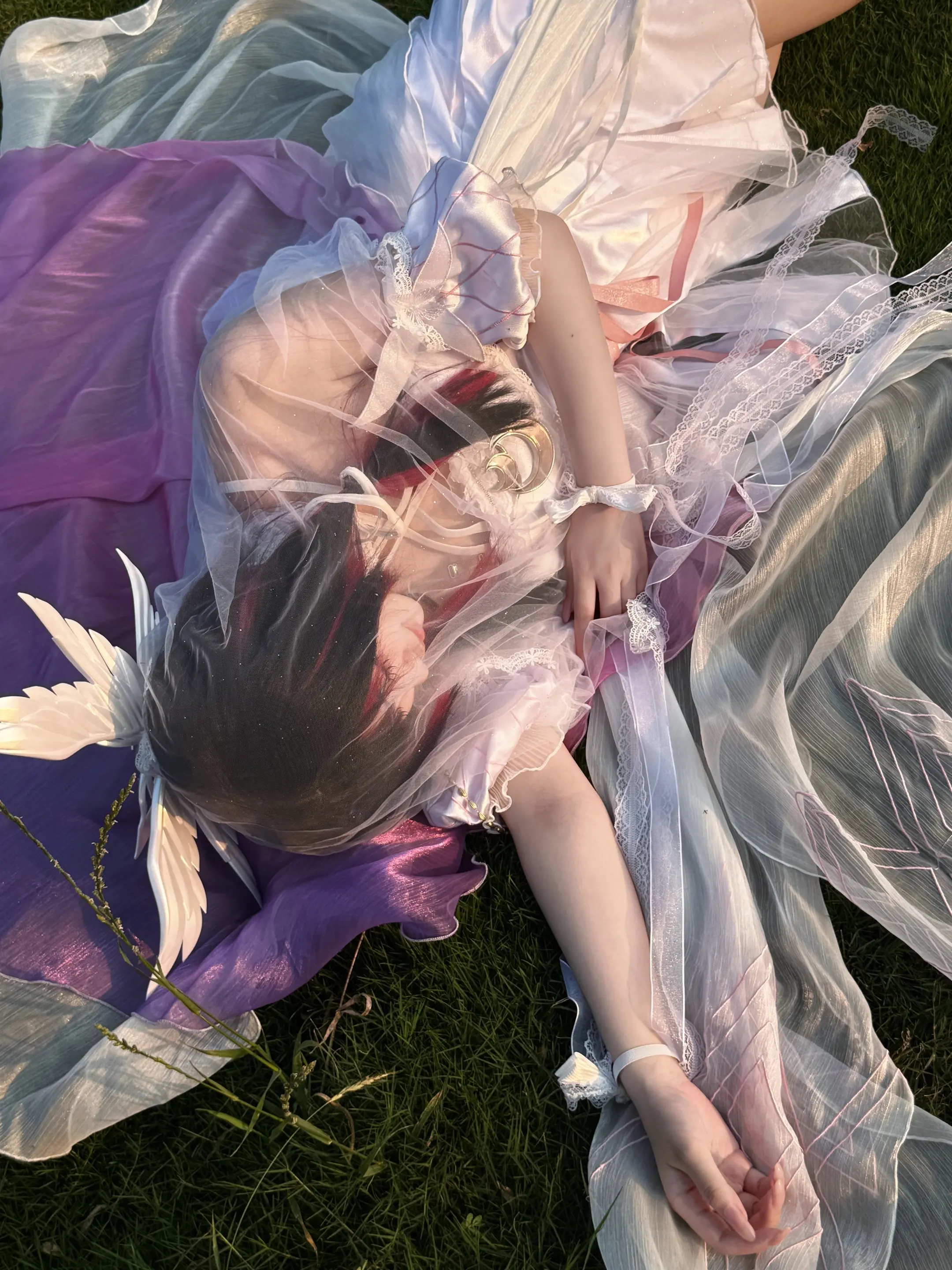 安睡吧，我的小鸽子……