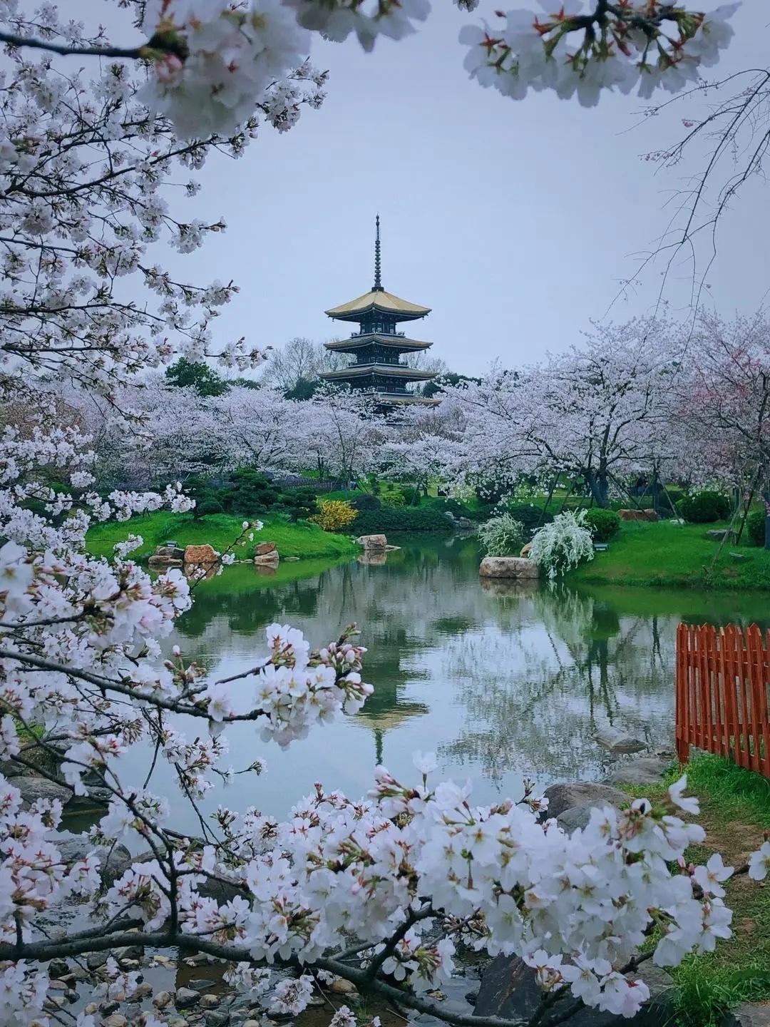 这就是赤裸裸的现实！

2020年，武汉GDP为15616.1亿元；
2021年