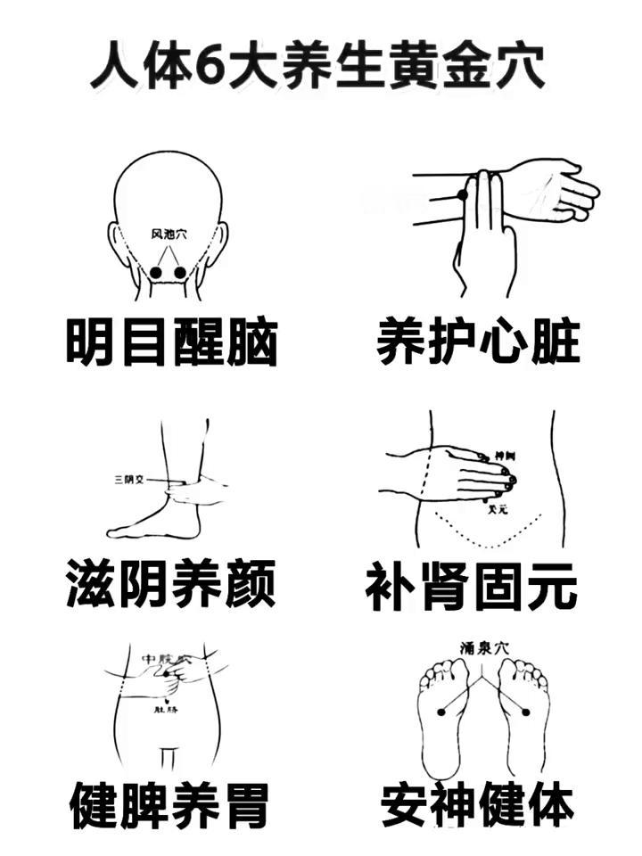 人体6大养生黄金穴。
养护心脏，补肾固元，健脾养胃，安神健体。
·位置：位于后颈