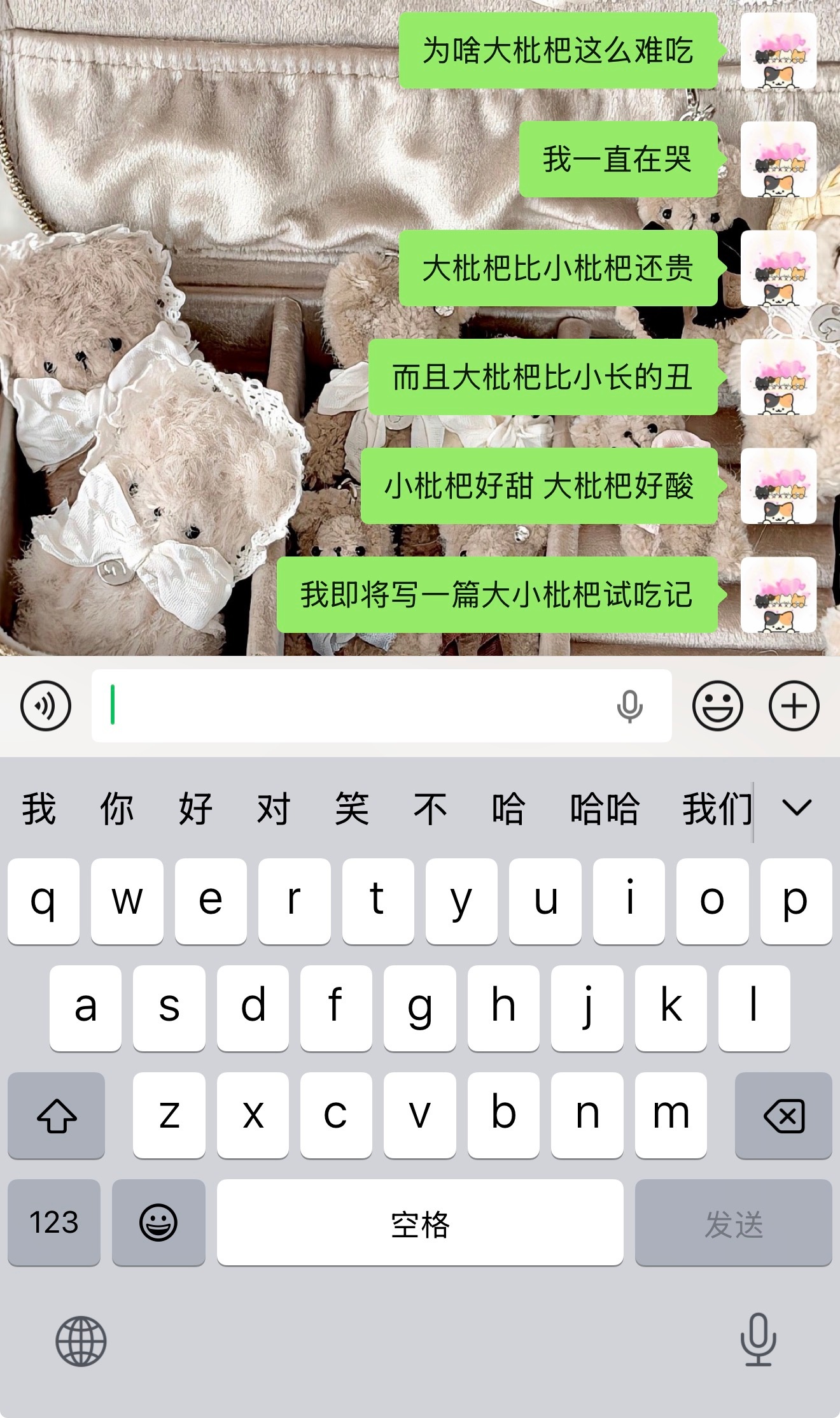 所有人都去吃小枇杷 这是我的总结 谢谢！ 