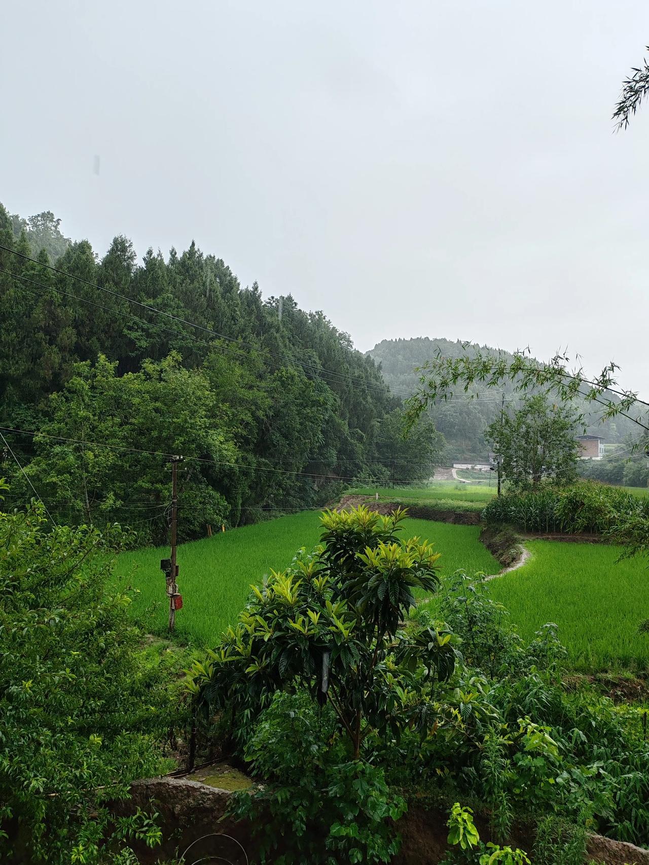 回农村种地,你的压力大吗?如果我身无负担，如果我儿女已成人，如果我老了，生活有保