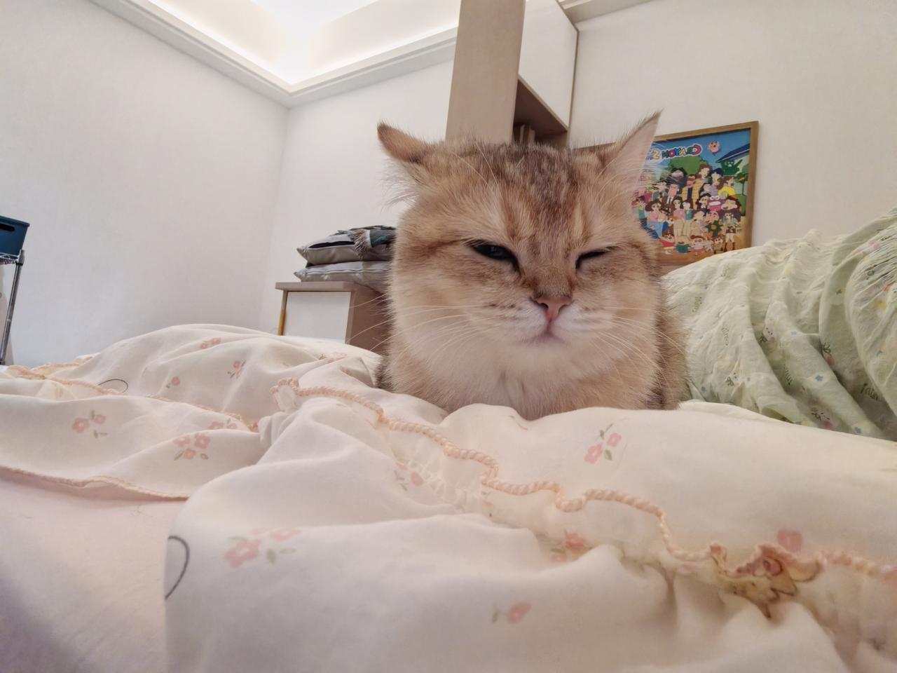 怎样炒股能从10万赚到100万哈哈哈哈哈笑死，要是能十万变一百万那岂不是巴菲特了