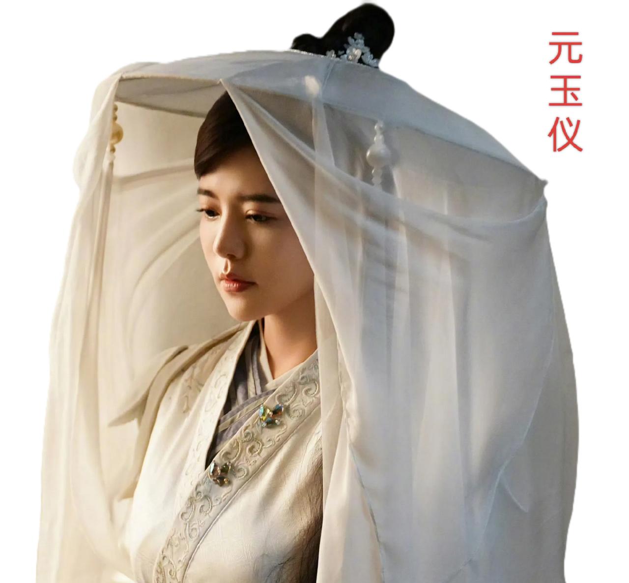 ‌元玉仪，是东魏的琅琊公主，她的人生经历极为坎坷‌。她出身于北魏皇室，是北魏献文