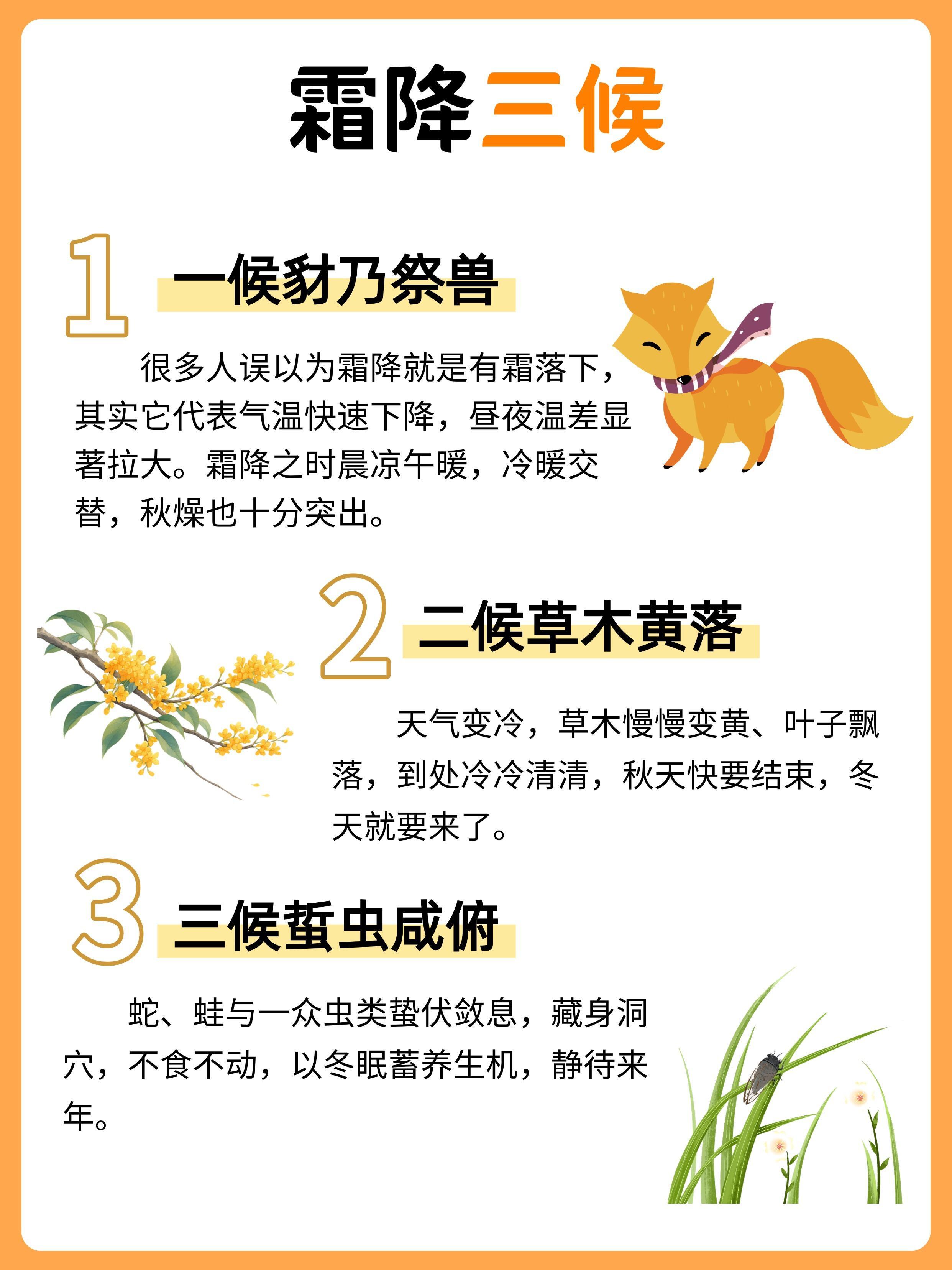 二十四节气：霜降给孩子的节气知识 ⭐️ ​​​