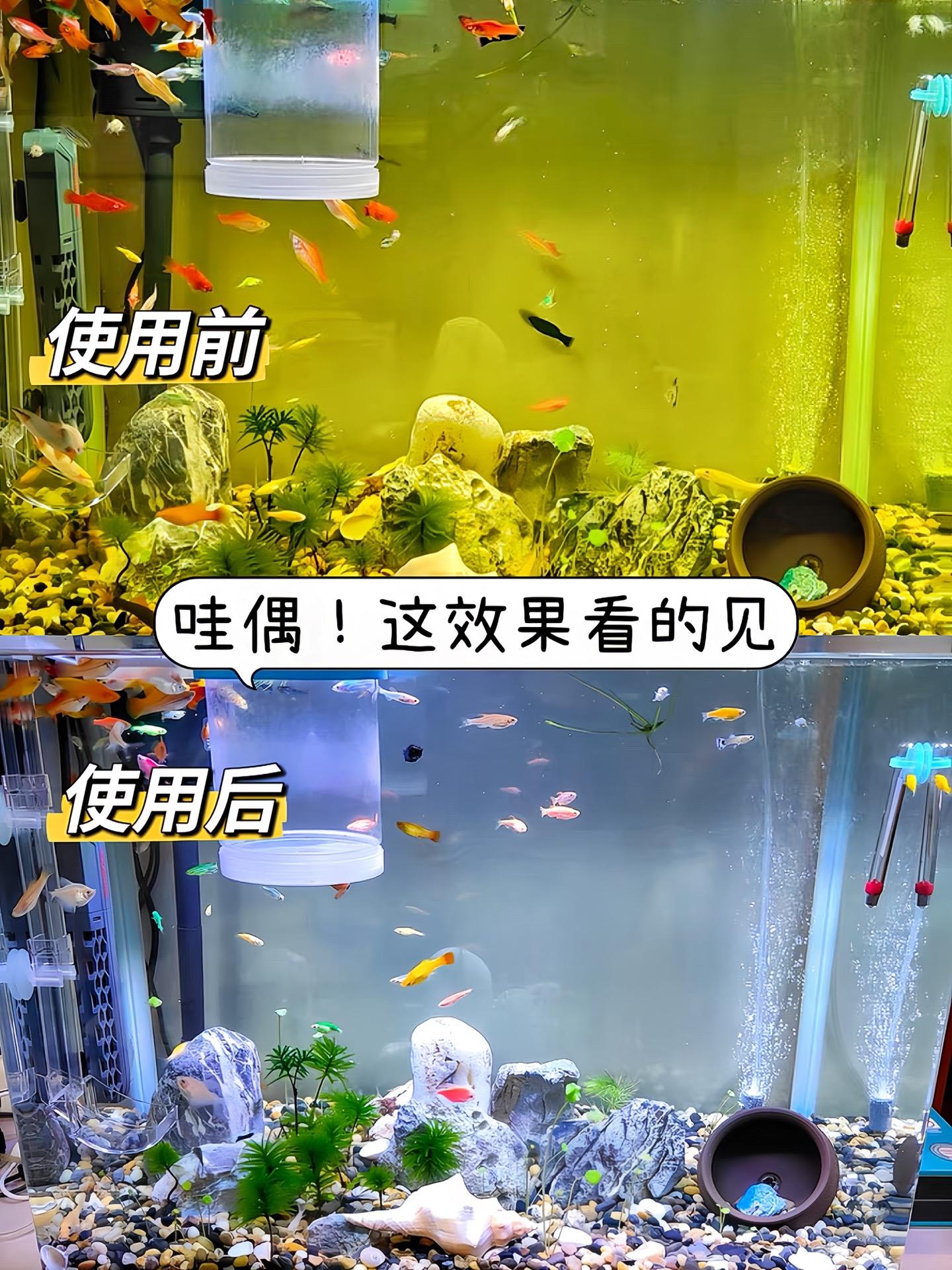 还在为鱼缸水发黄发愁？别担心！蛋白棉来救场。超强吸附力，快速去除水中色...