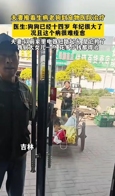 吉林，一对中年夫妻用三轮车推着一条生病的老狗去宠物医院看病，医生看到后， 告知说