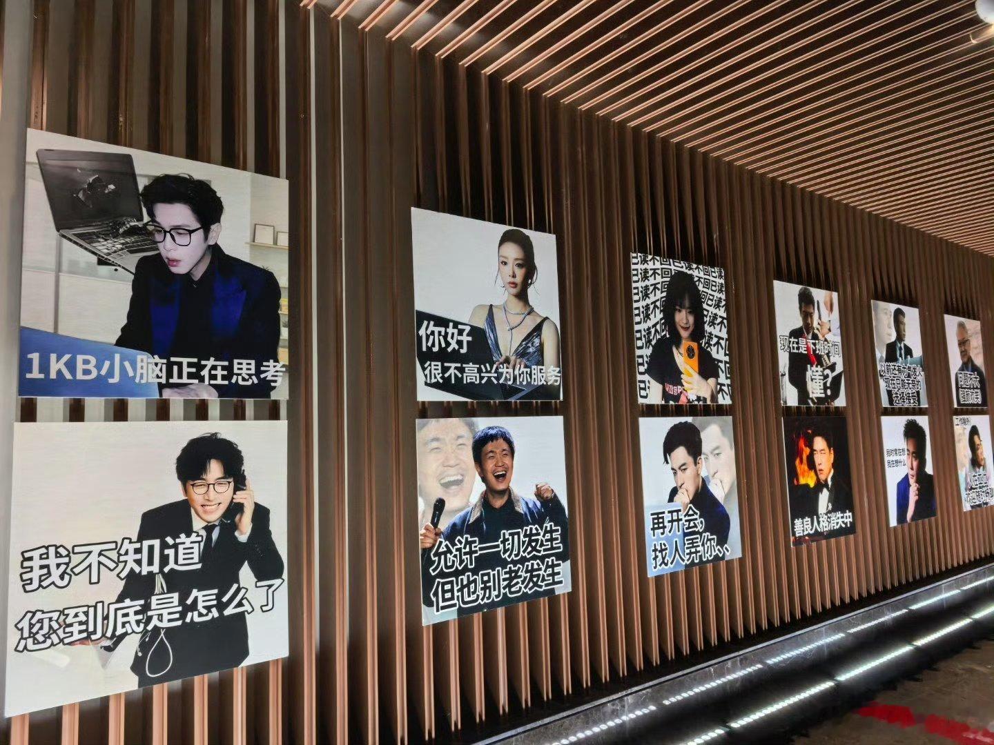 张若昀笑到这种程度已经是痛苦了张若昀脸都憋红了还在加料拼命绷表情反而越憋越上头，