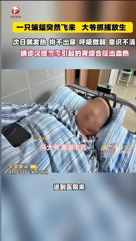 “悲剧还是发生了！”近日，安徽巢湖，一位大爷发现家中进了只蝙蝠，他伸手就去抓，可