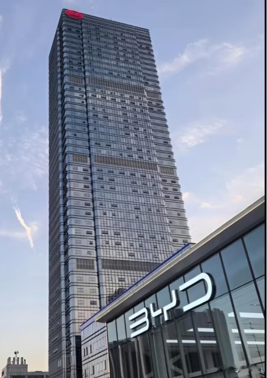 比亚迪前九个月313万，
离500万差187万，
剩下仨月月均得干62万，摇头。