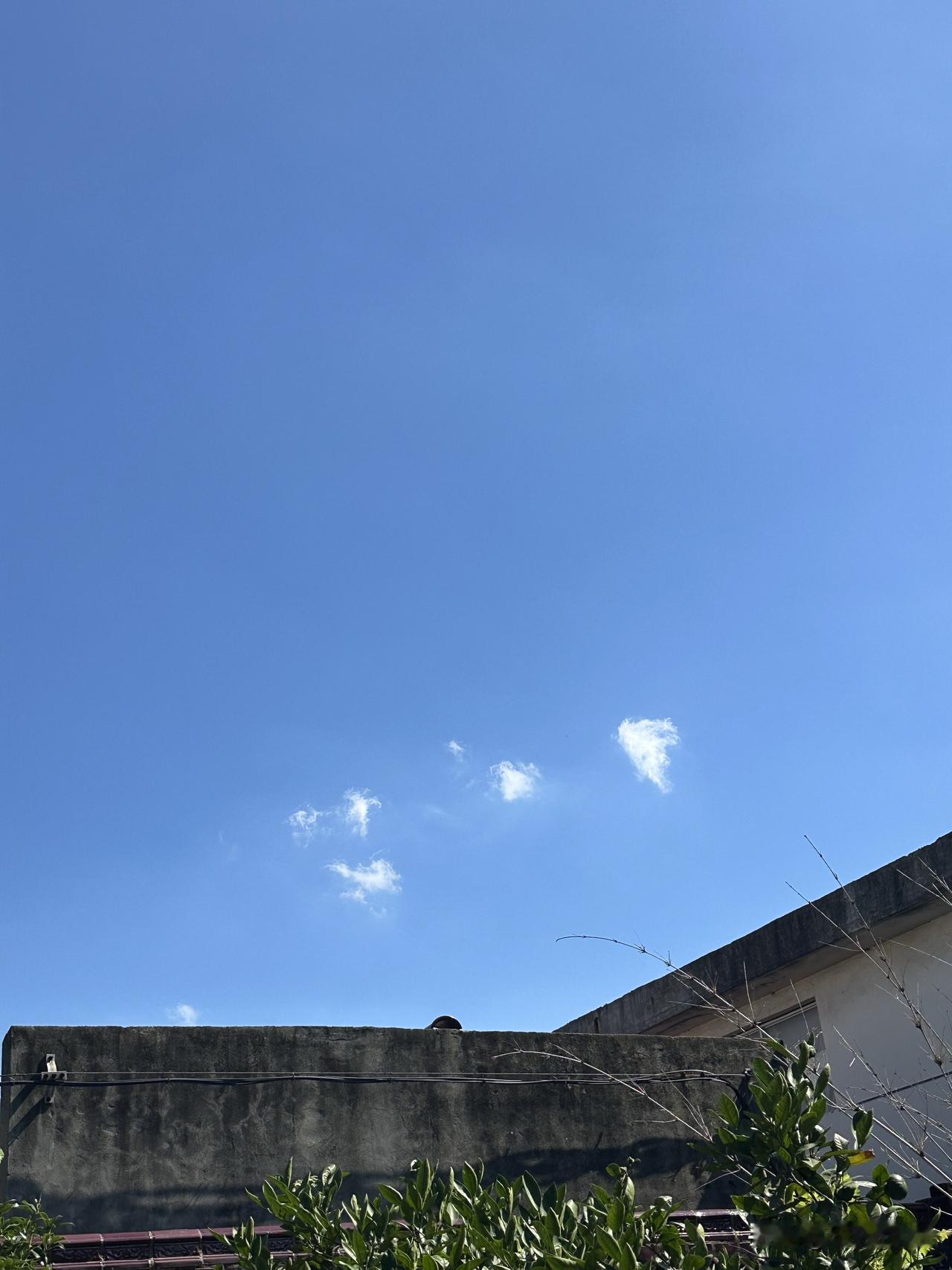 可以分享一张你拍的天空美照吗