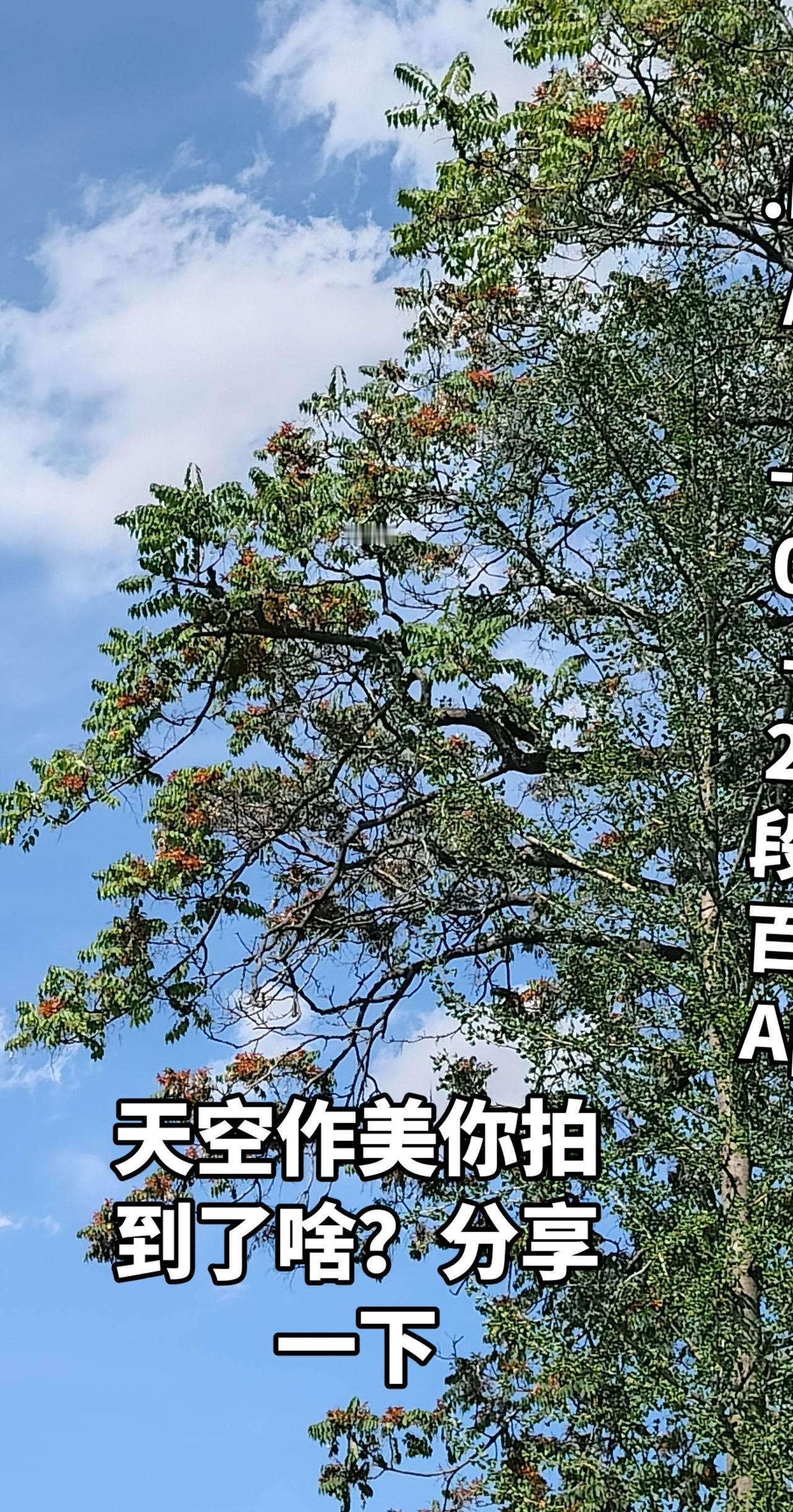 我评论了@随心所欲 的作品：
这是啥啊怎么还开花了呢？