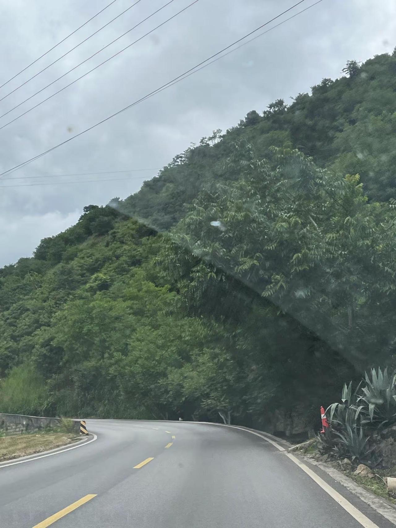 玩法合伙人计划 情绪音乐玩法新风向 带你去看山里的风景