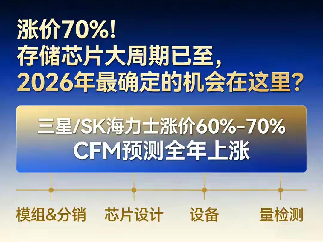 **存储芯片暴涨300%！全球断供、价格飙涨，2026年最确定的“硬科技风口”来