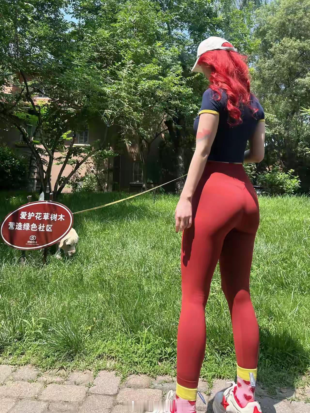 遛狗牵绳，做个文明的狗主。