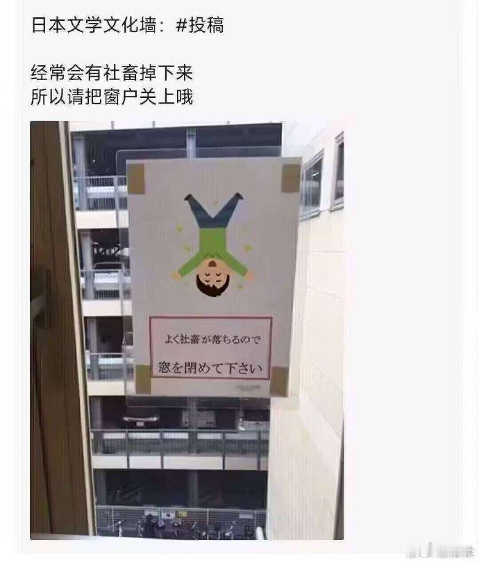 霓虹人离职都这么费人的吗？[汗] ​​​