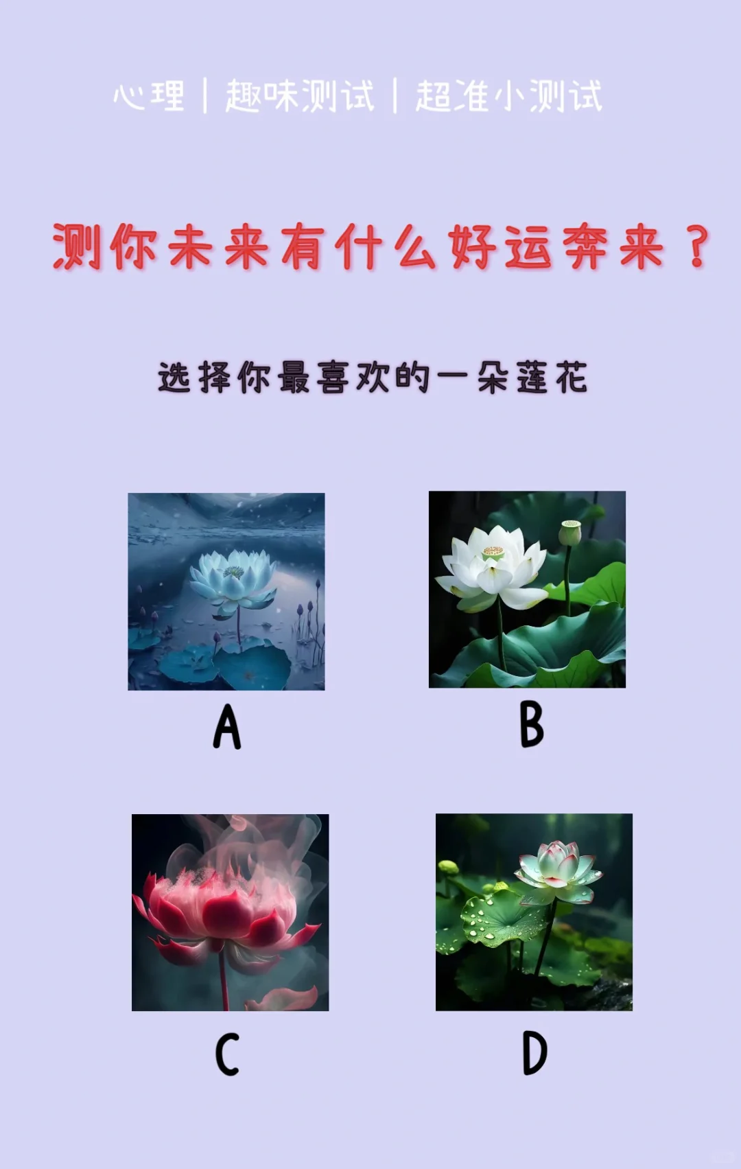 🔥测试｜测你未来有什么好运奔来？