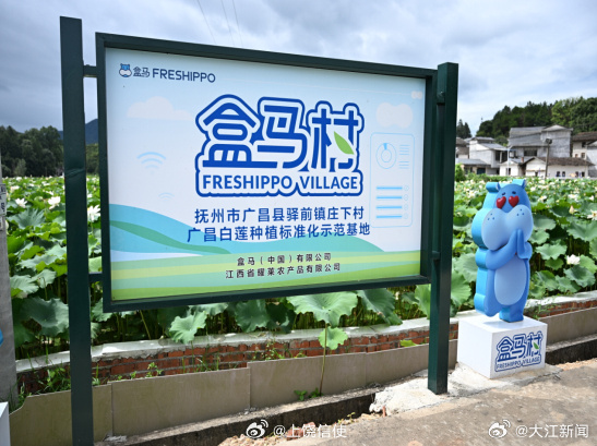 赣莲飘香广昌路上2026广昌莲花旅游文化节 【白莲进军高端商超 广昌这家企业以科