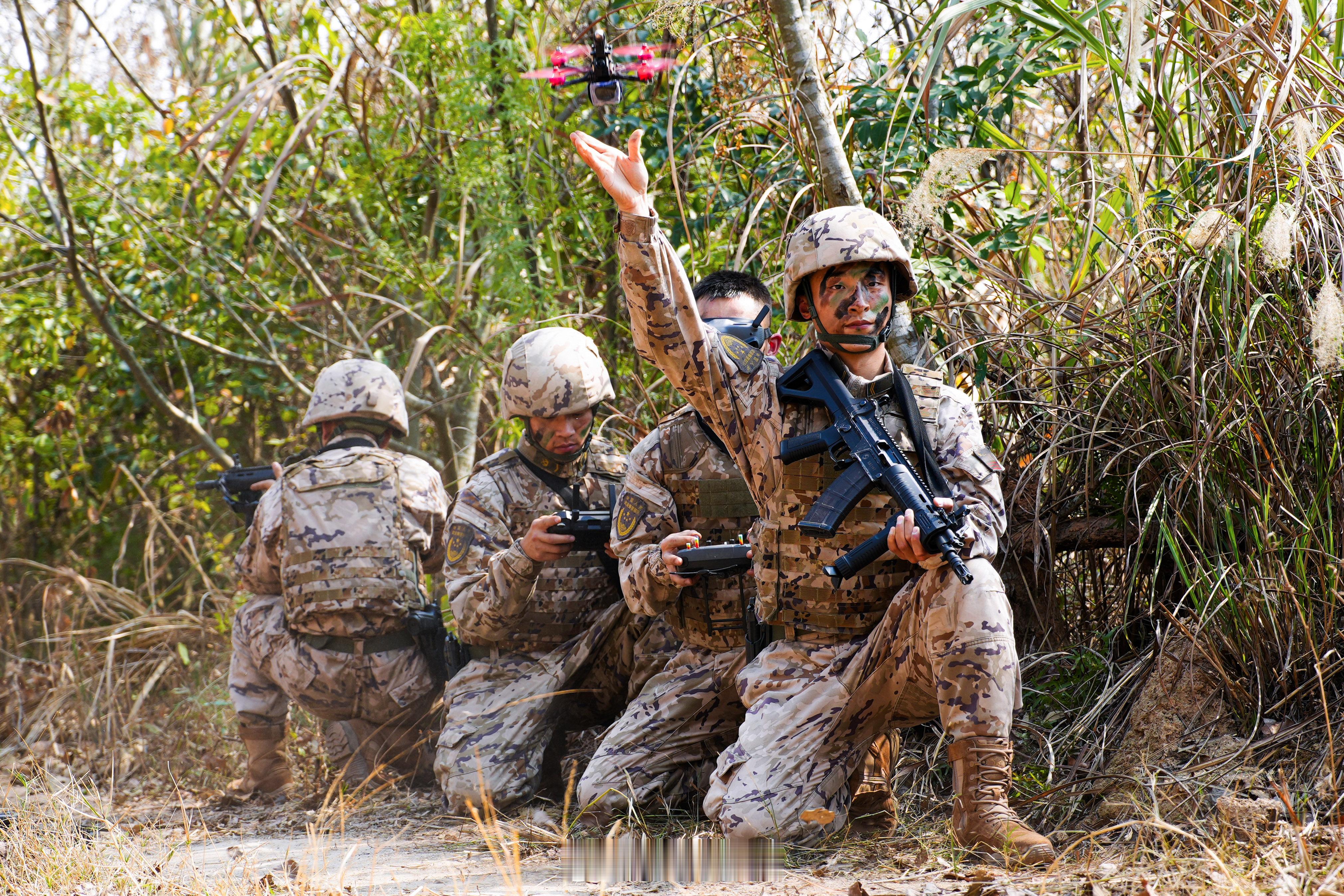 【机器狗与警犬协同作战】近日，武警福建总队某支队组织山林地捕歼演练。官兵们闻令而