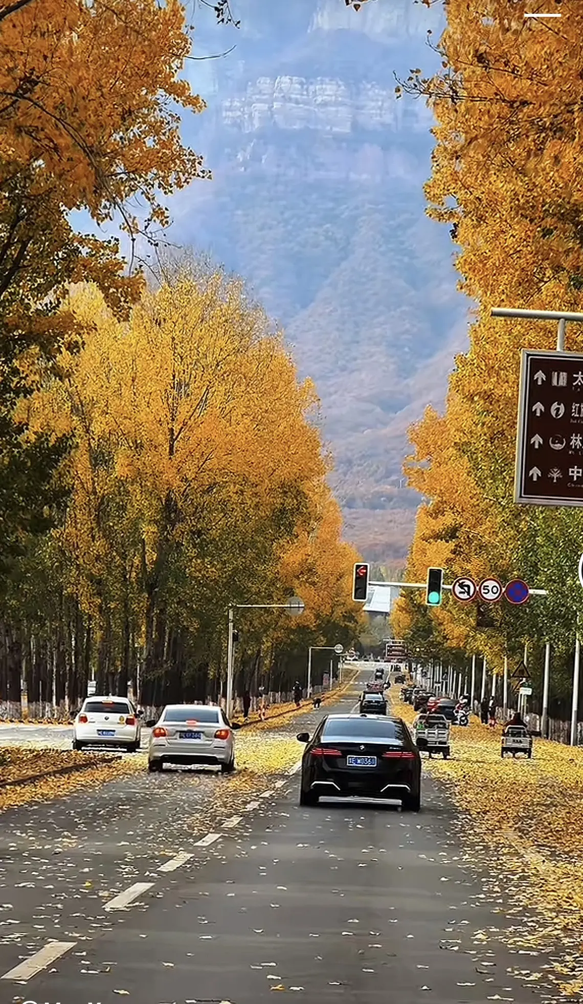 落叶知秋风渐凉