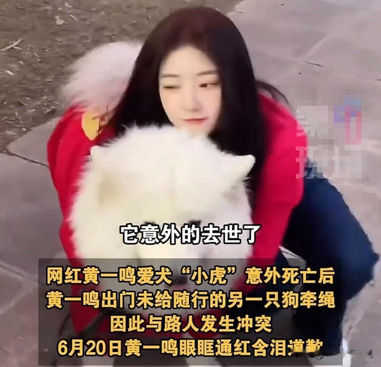 文明养宠，是对自己负责，更是对他人尊重。毕竟，牵住的不仅是绳，更是心安。你觉得，