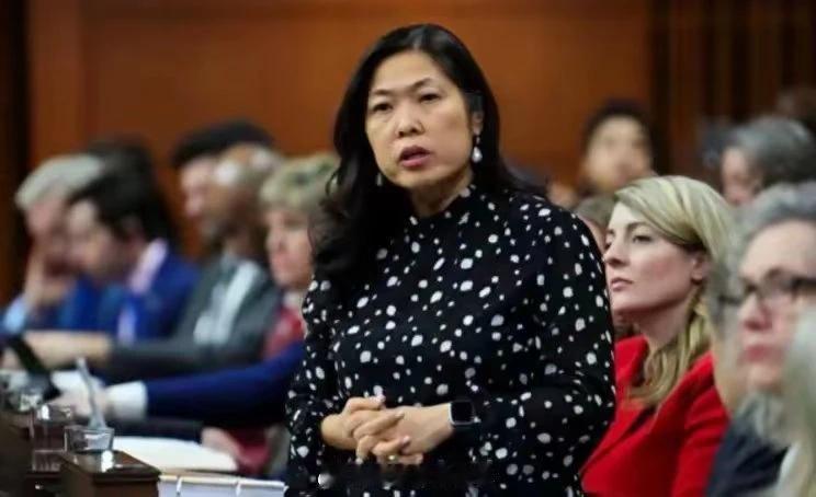 加拿大国际贸易部长伍凤仪表示愿意跟进美国，将中国电动汽车的关税从25%提升至10