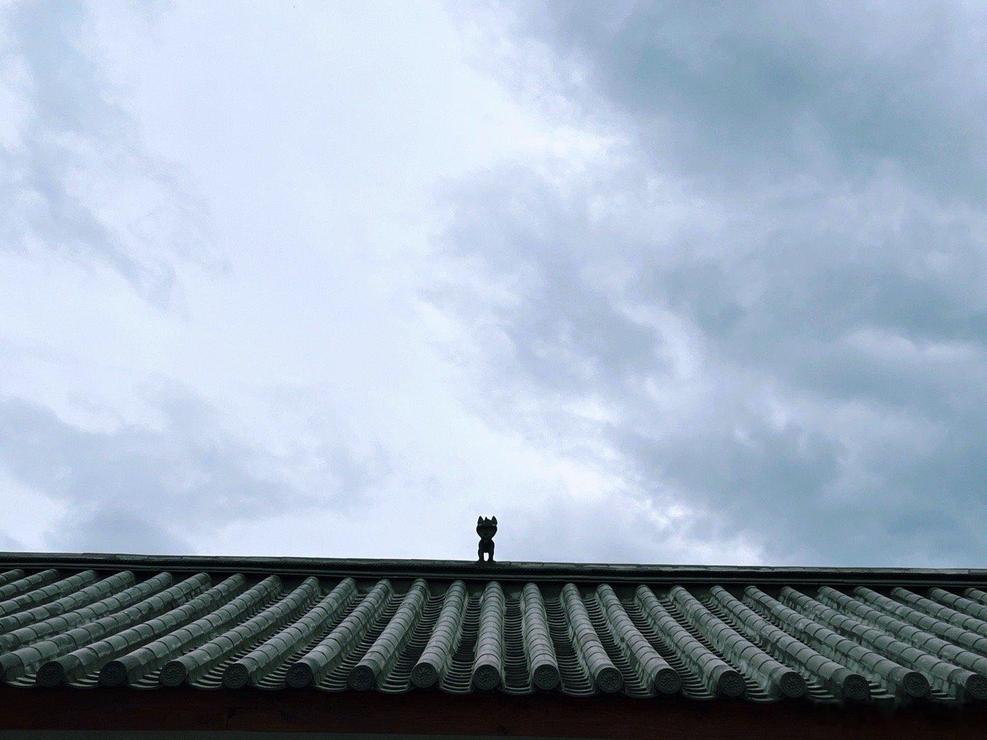 此时此刻 20260614。周日。四月廿九。冒个泡