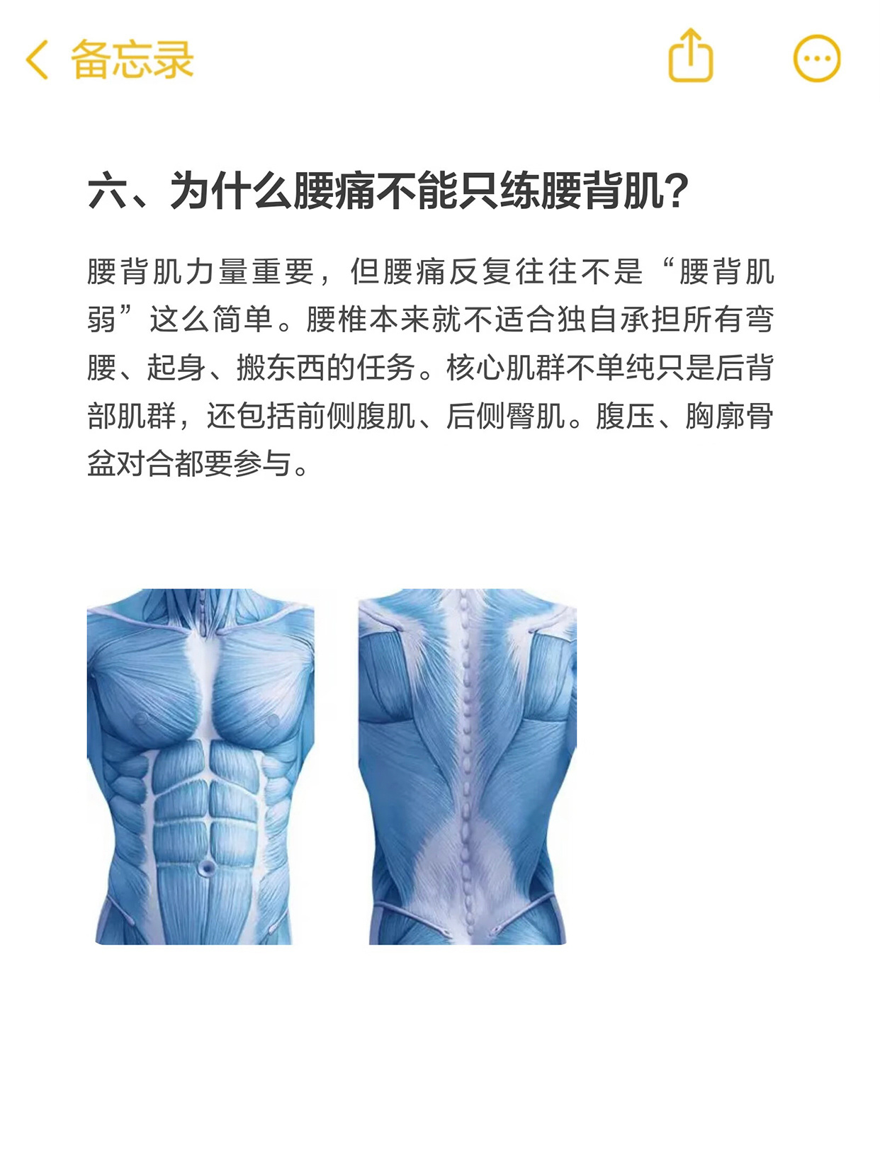 腰痛的你千万别做小燕飞 如果让我选出康复训练里最常见的2大误区，答案一定是这2个
