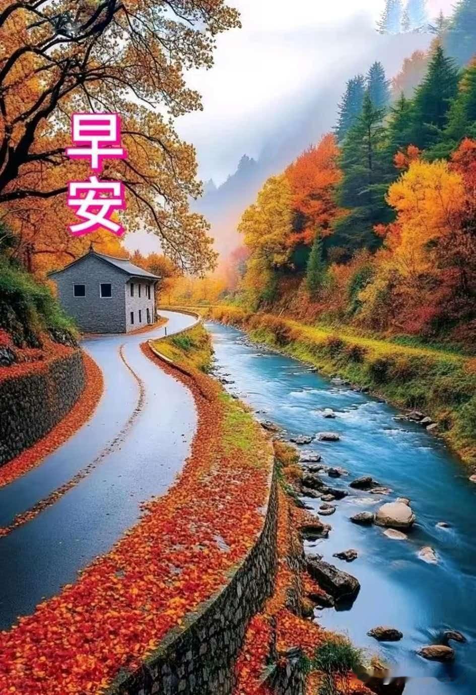 秋山染彩，溪水潺潺。
一夜清风染层林，岁月安然度光阴。
新的一天，愿日子清净无忧
