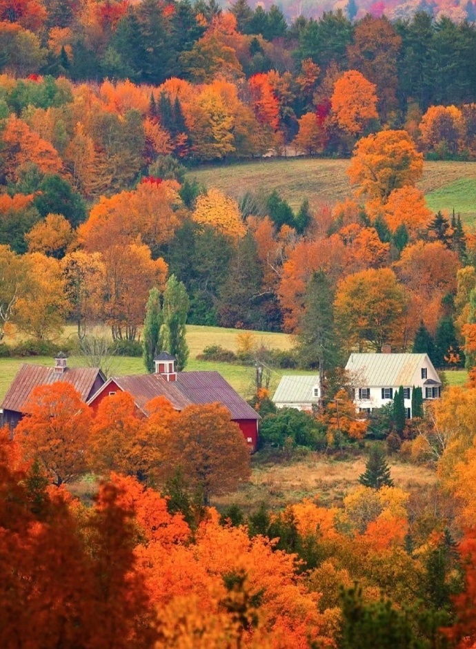一重山，两重山。山远天高烟水寒，相思枫叶丹 。 