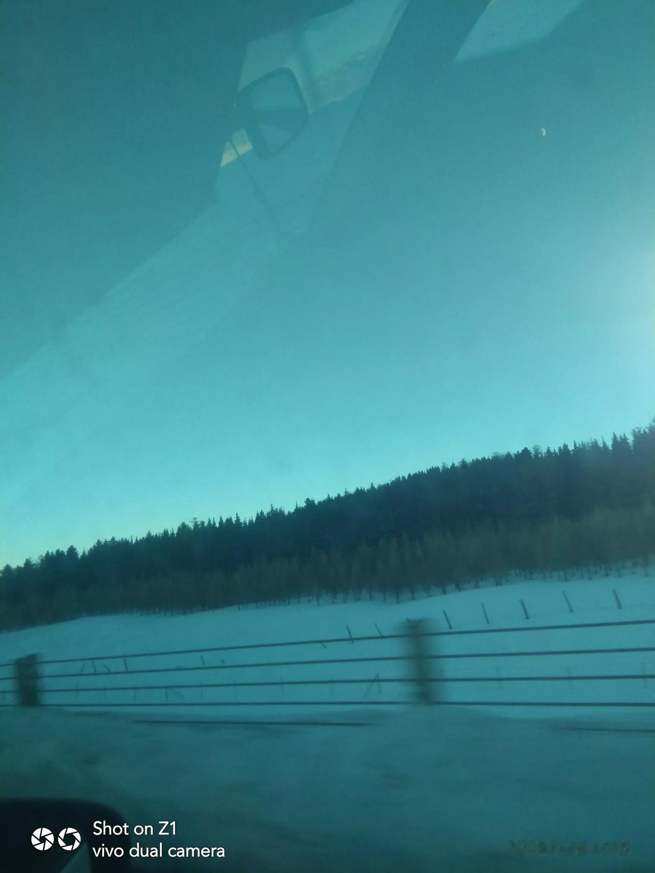 公园美丽景随拍