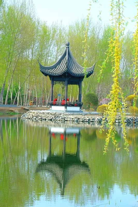 <临江仙·林间丽影>
 
翠柳垂丝轻拂面，林间淑影亭亭。红裳粉裙韵盈盈。手中花艳