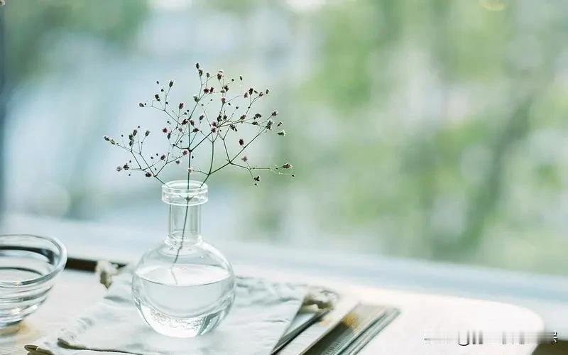 人生最好的一天，永远是今天
 
晨光透过窗帘缝隙洒在桌角时，新的一天已经悄然启程