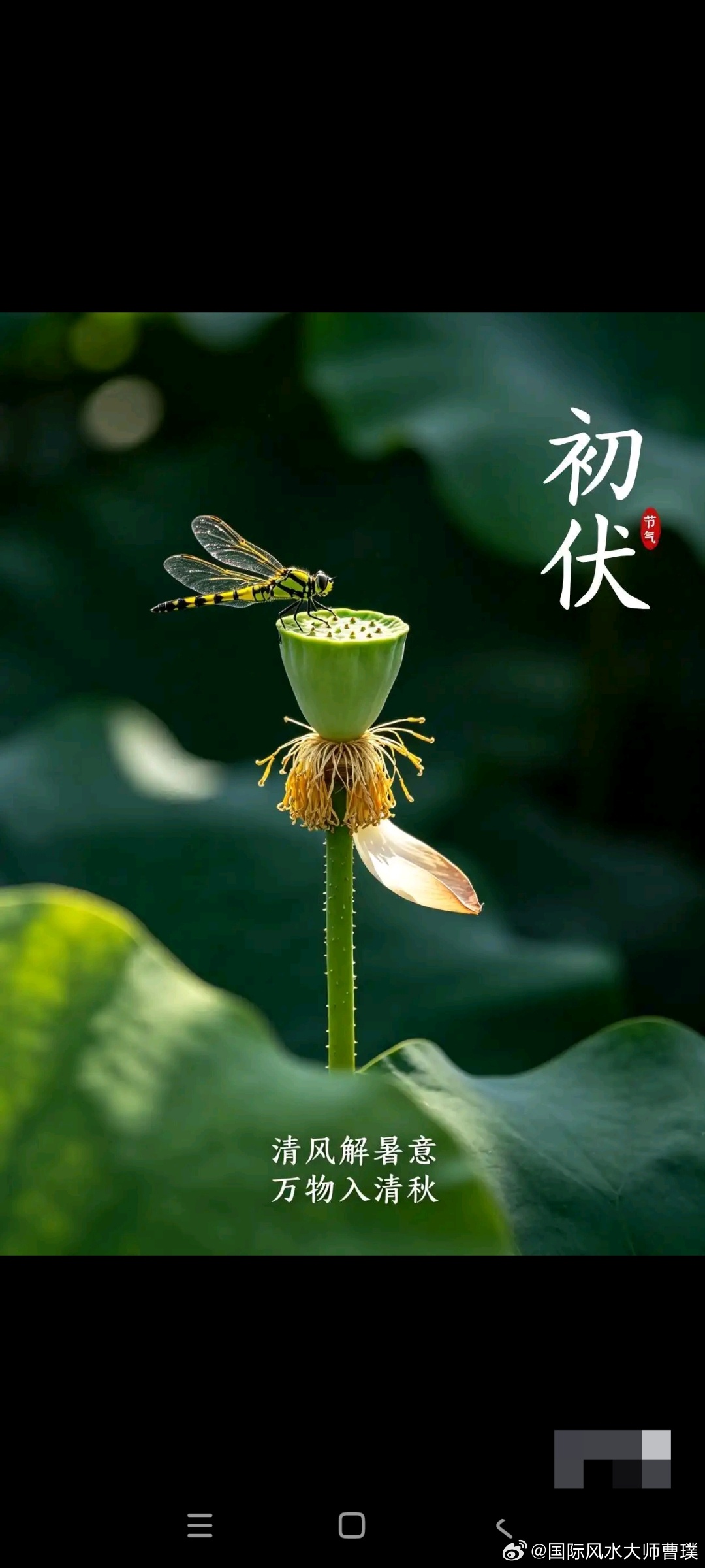 三元逸士堪舆指点迷津正能量 不要对每件事都有反应。不要在乎那些与你无关的东西，不