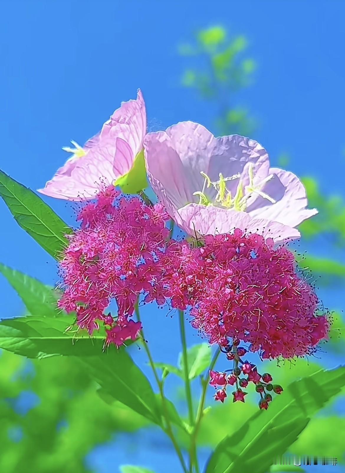 上联：风吹绿水千层浪
   下联：雨润青山万朵花