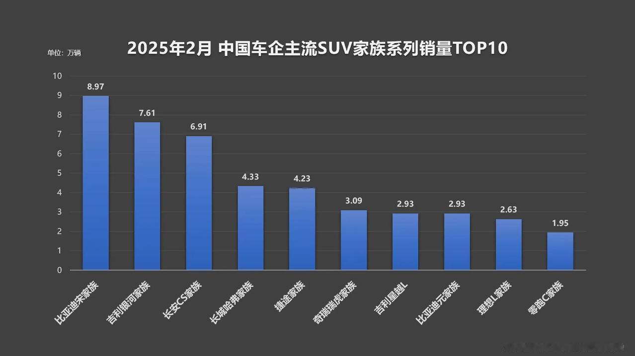 比亚迪宋家族以销冠实力重新定义 SUV 市场价值标准，2025年2月，当中国车市