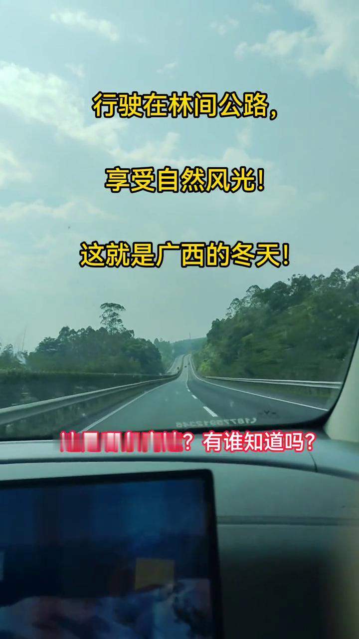 行驶在林间公路，享受自然风光！这就是广西的冬天！这是哪条高速？有谁知道吗？