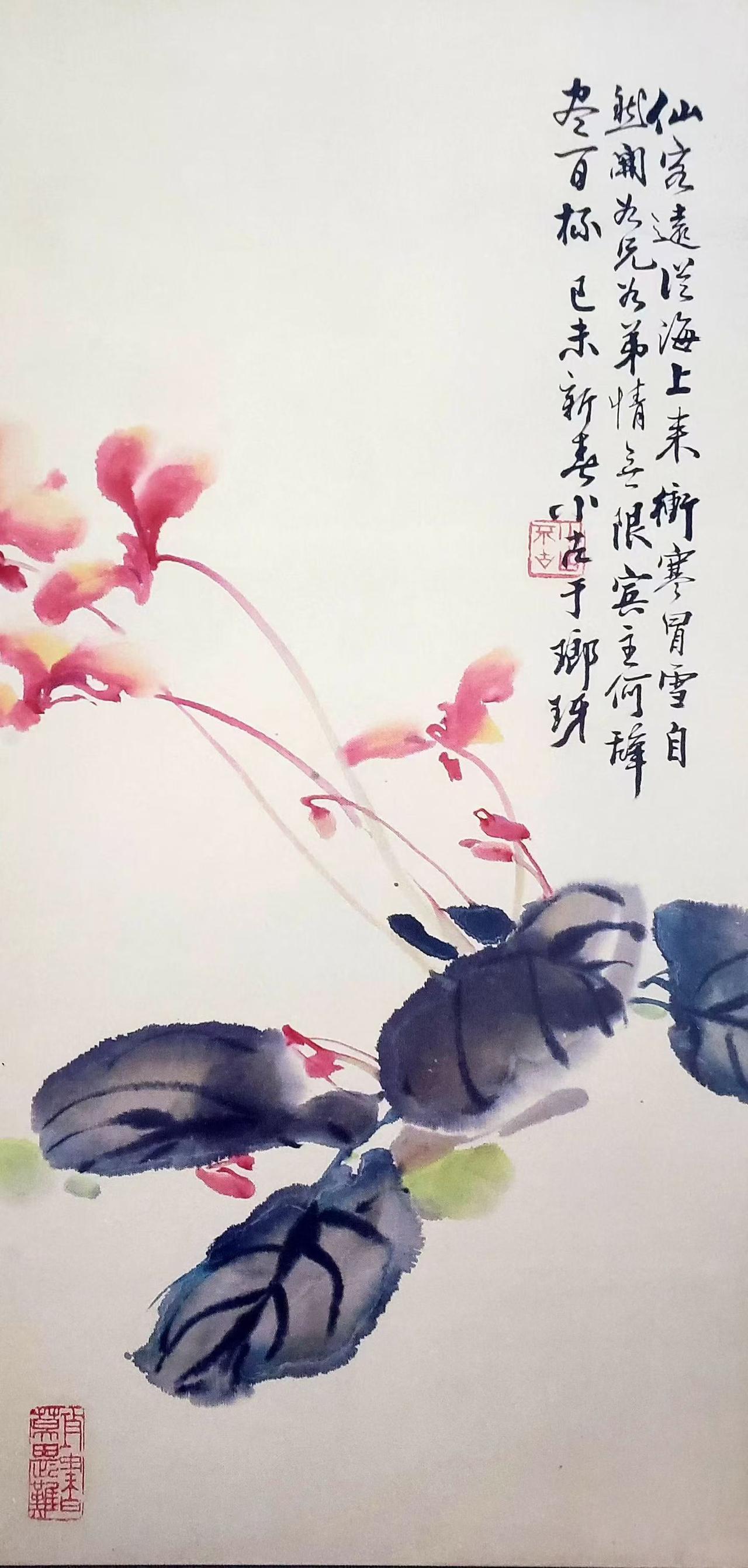 王小古先生作品(仙客来)[咖啡][咖啡][咖啡]