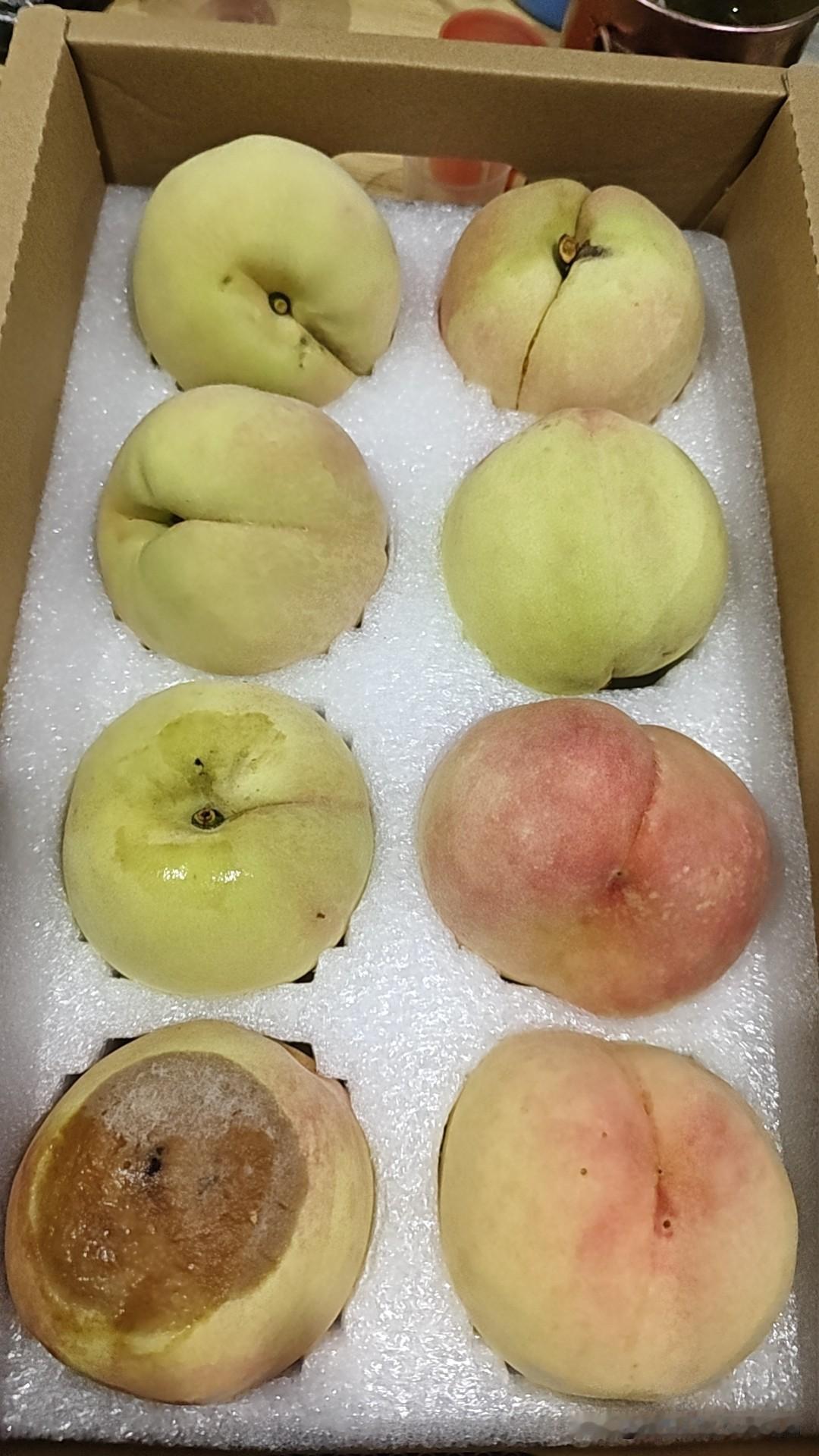 12床的在这住院，每个月自费还有第二次报销，每年也就交495块钱，每个月都给报的