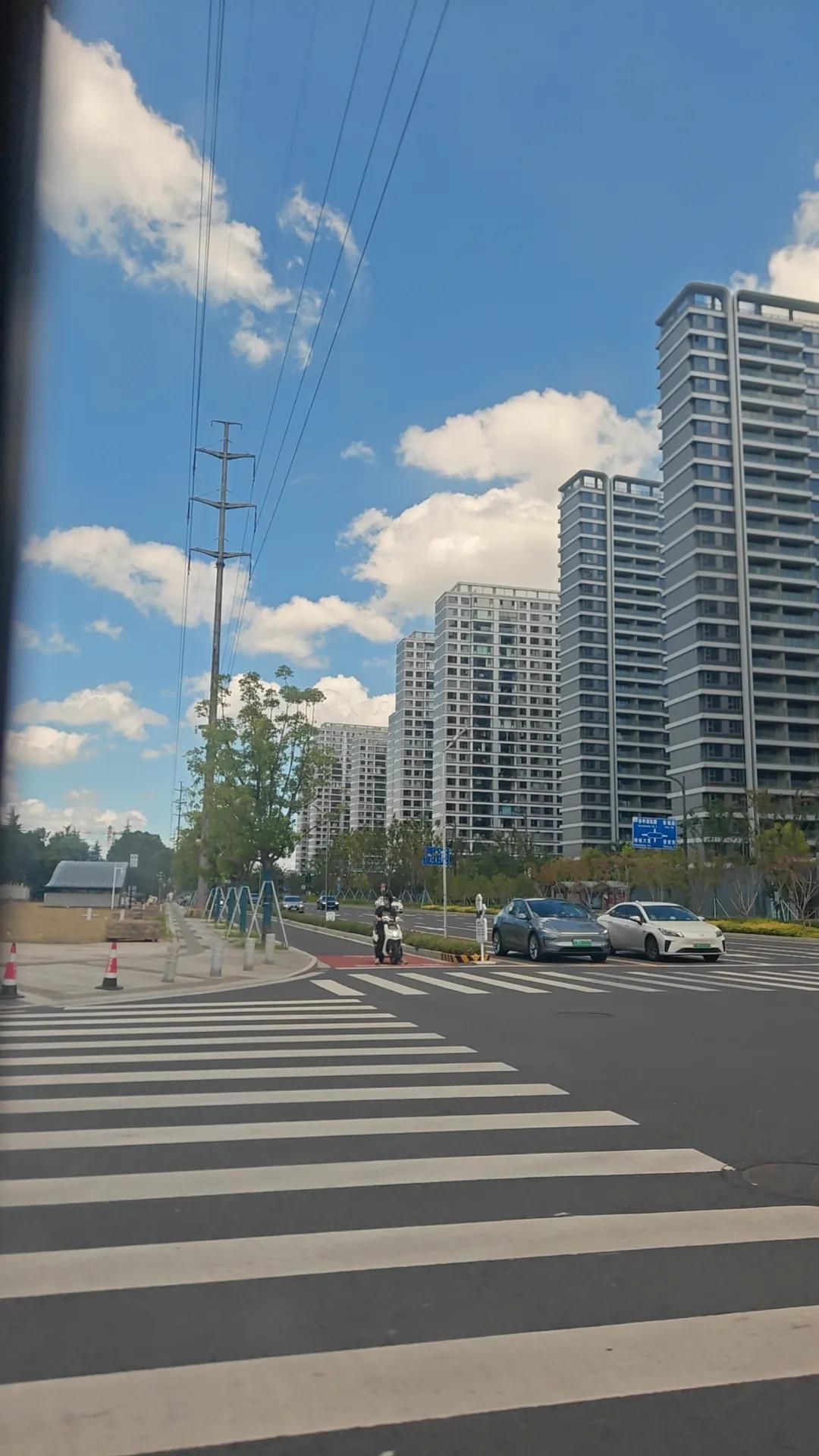 我爸和我妈上街买菜。他俩一前一后，我爸拄了单拐。

小区邻居带了四条狗出街。那神