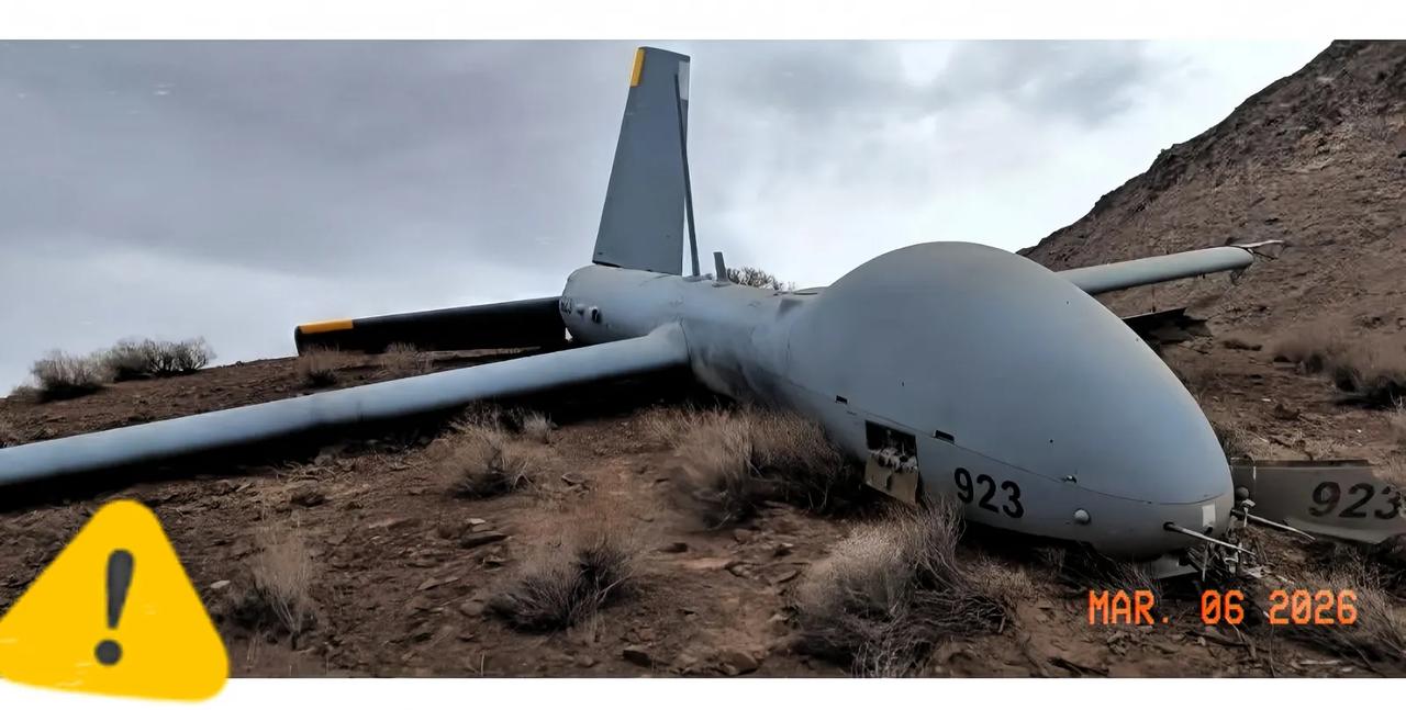 伊朗太给力了！

3月5日，革命卫队用电子战完整生擒以色列赫尔墨斯-900无人机