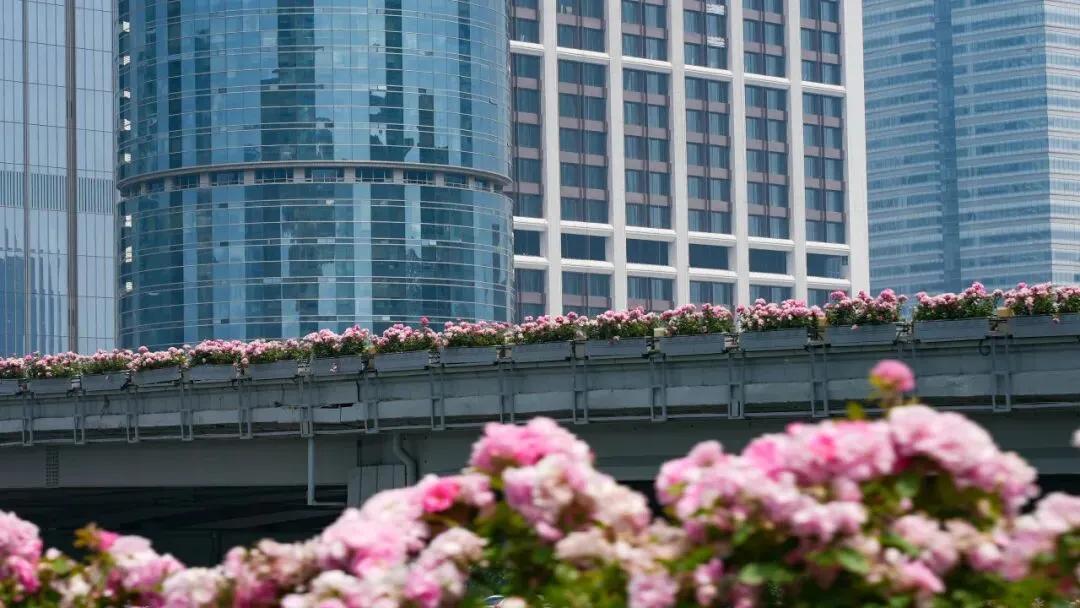 美国随行记者团集体破防，网上刷屏:
 
 
 
✅ 一、真实背景（2026.5.
