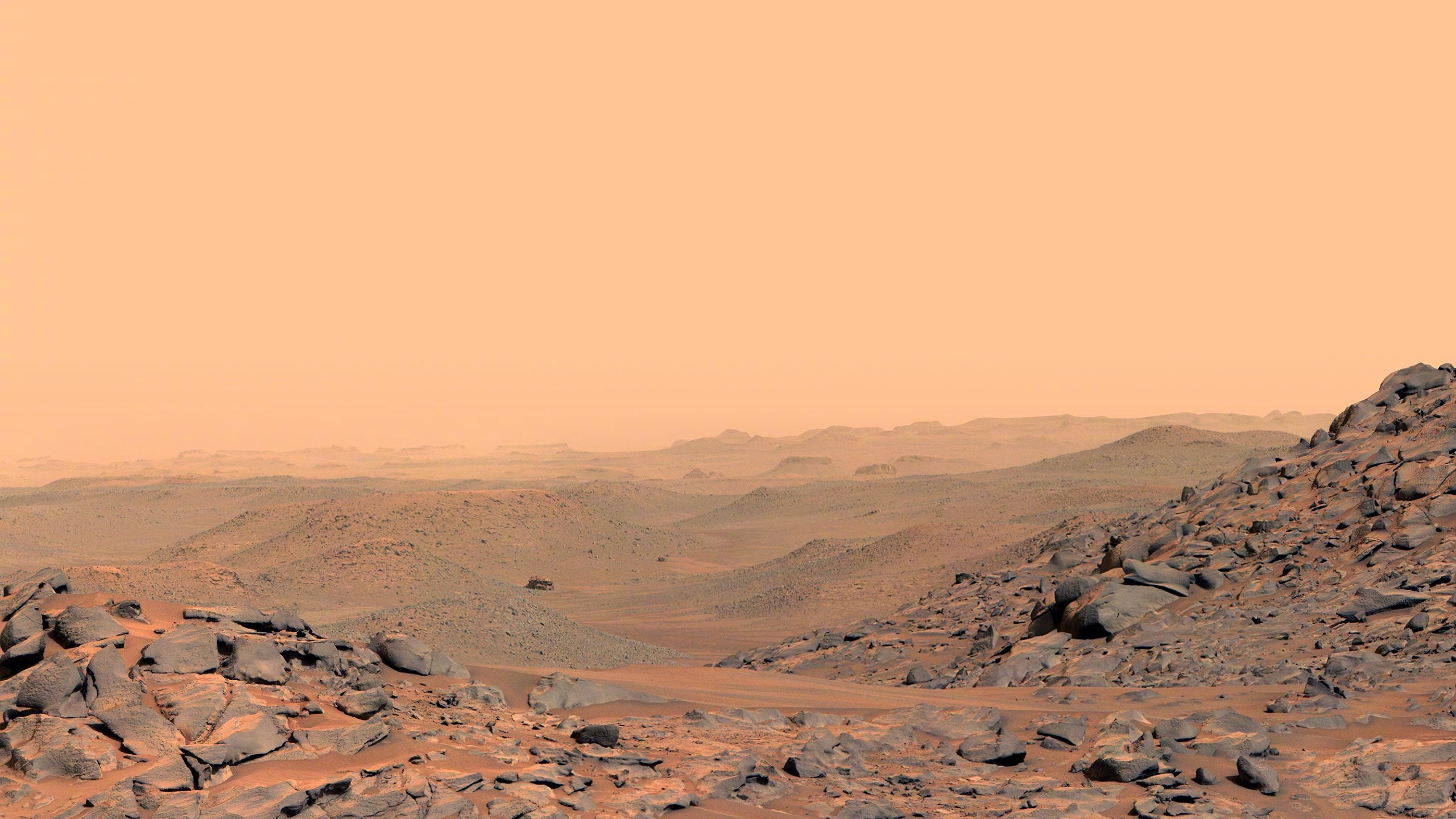 前天的火星，位于耶泽罗撞击坑。2024年4月13日11时45分，由毅力号拍右桅杆