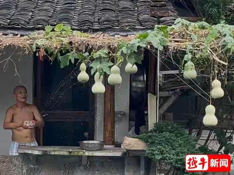 七个葫芦娃和爷爷，带火的一座城
浙江绍兴书圣故里探花桥旁，7 只垂挂在木棚架上的