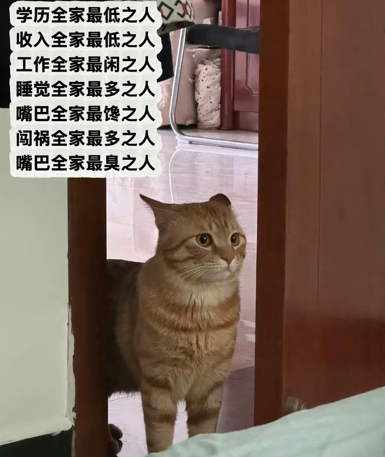 全家最不吃压力之人belike咪说： 勿cue 我不是人 