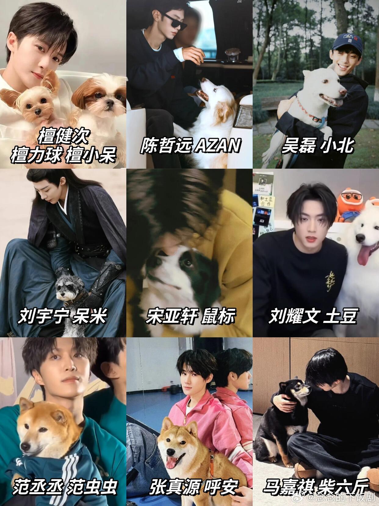 明星不基础，宠物更不基础帅哥和他们的宠物们宠物‖ 