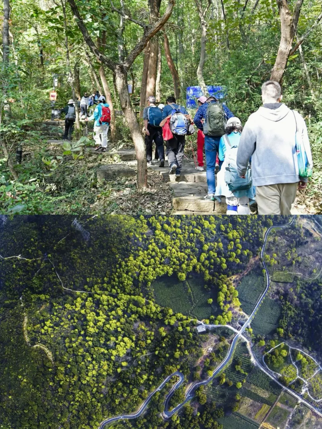 暖冬家庭游｜不容错过的登高祈福