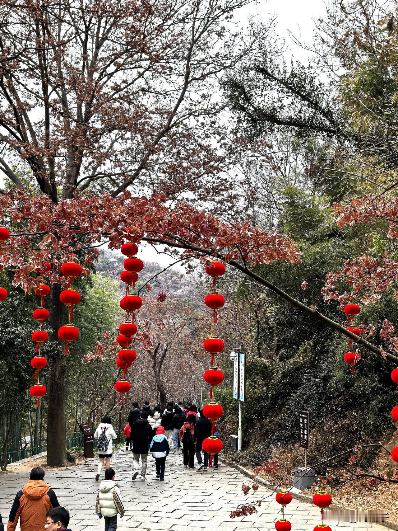2026年元旦，参加上海2026骏马迎新，登高佘山活动。
祝友友们2026年马到