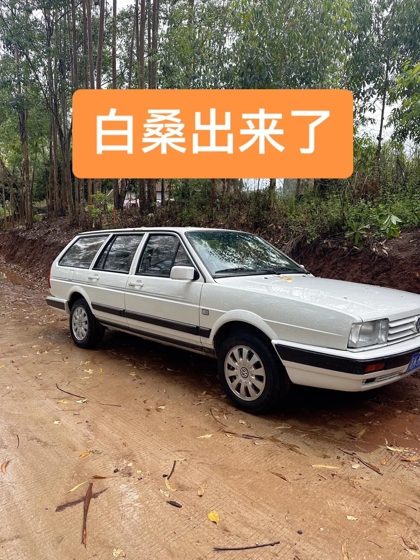 小白桑陪我出来跑长途了瓦罐车