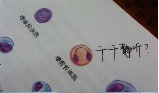 千千静听